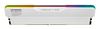 Klevv 32GB (2X16GB) 6000MHz CL28 DDR5 GAMING RAM MODULE 28-36-36-76 1.4V URBANE V RGB WHITE KIT_thumb_2