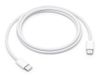 Apple Ladekabel - 1m - USB-C - 60W_thumb_1