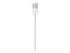 Apple Lightning-Kabel - Lightning/USB - 1 m_thumb_3