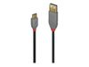 Cable Lindy USB 2.0 to USB-C 1m Black_thumb_2