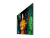 Samsung LED-Display QM43C - 108 cm (43") - 3840 x 2160 4K_thumb_3