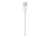 Apple Lightning-Kabel - Lightning/USB - 50 cm_thumb_5