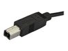 StarTech.com 2m 6ft USB C to USB B Cable - USB 2.0 - USB Type C Printer Cable M/M - USB 2.0 Type-C to Type-B Cable (USB2CB2M) - USB Typ-C-Kabel - 2 m_thumb_3