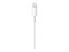 Apple USB-C to Lightning Cable - Lightning-Kabel - Lightning / USB - 2 m_thumb_3