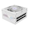 GIGABYTE AORUS ELITE P850W ICE Power Supply_thumb_4