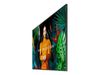 Samsung LED-Display QM50C - 126 cm (50") - 3840 x 2160 4K_thumb_2