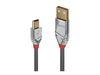 Cable Lindy USB-A to USB-B 2m Cromo_thumb_3