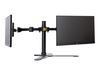 Iiyama DS1002D-B1 - Aufstellung (einstellbarer Arm)_thumb_3