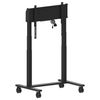 Iiyama MD-CAR2031-B1 cart - double column motorized - for flat panel - with anti-collision - black_thumb_1