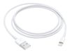 Apple Lightning-Kabel - Lightning/USB - 1 m_thumb_1