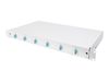 DIGITUS Professional fiber-optic splice box - 1U - 19"_thumb_1