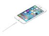 Apple Lightning cable - Lightning / USB - 1 m_thumb_3