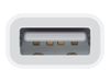 Apple Lightning to USB Camera Adapter - Lightning/USB_thumb_3