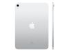 Apple iPad 10.9 - 27.7 cm (10.9") - Wi-Fi - 256 GB - Silver_thumb_2