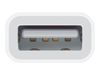 Apple Lightning to USB Camera Adapter - Lightning/USB_thumb_2