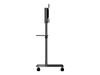 StarTech.com Mobile TV Cart, Portable Rolling TV Stand for 37-70" VESA Display (154lb/70kg), with Shelf & Storage Compartment, Rotate/Tilt Display, Universal TV Mount on Casters/Wheels - Mobile TV Stand w/ Casters (MBLTVSTNDEC) cart - for flat panel_thumb_6