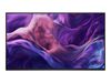 Dell LED-Display P2425HE - 61 cm (24") - 1920 x 1080 Full HD_thumb_1