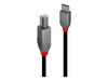 Cable Lindy USB 2.0 Typ C an B  Anthra Line 2m_thumb_2