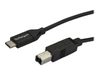 StarTech.com 2m 6ft USB C to USB B Cable - USB 2.0 - USB Type C Printer Cable M/M - USB 2.0 Type-C to Type-B Cable (USB2CB2M) - USB Typ-C-Kabel - 2 m_thumb_2