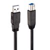 Lindy 43098 USB Kabel USB 3.2 Gen 1 (3.1 Gen 1) 10 m USB A USB B 5 Gbit/s Schwarz_thumb_1