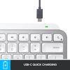 Logitech Tastatur MX Keys Mini for Mac - Hellgrau_thumb_4