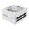 GIGABYTE AORUS ELITE P1000W ICE Netzteil_thumb_5