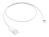 Apple Lightning-Kabel - Lightning/USB - 50 cm_thumb_1