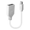 Lindy 41021 DisplayPort-Kabel 0,15 m Mini DisplayPort Weiß_thumb_1