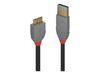 Cable Lindy USB 3.2 Anthra Line 3m_thumb_1