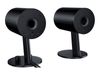 Razer Speakers for PC Nommo Chroma_thumb_3