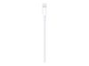Apple Lightning cable - Lightning / USB - 1 m_thumb_2