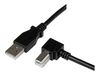 StarTech.com 1m USB 2.0 A to Right Angle B Cable Cord - 1 m USB Printer Cable - Right Angle USB B Cable - 1x USB A (M), 1x USB B (M) (USBAB1MR) - USB cable - 1 m_thumb_1