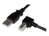 StarTech.com 2m USB 2.0 A to Right Angle B Cable Cord - 2 m USB Printer Cable - Right Angle USB B Cable - 1x USB A (M), 1x USB B (M) (USBAB2MR) - USB cable - 2 m_thumb_2