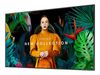 Samsung LED-Display QM50C - 126 cm (50") - 3840 x 2160 4K_thumb_3