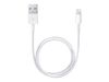 Apple lightning cable - lightning/USB - 50 cm_thumb_3