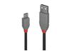 Cable Lindy USB 2.0 to micro USB-B 2m Black_thumb_2