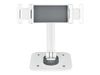 StarTech.com Adjustable Tablet Stand for Desk, Desk/Wall Mountable, Supports Up to 2.2lb, Universal Tablet Stand Holder for Desk, Articulating Tablet Mount with Pivot/Swivel/Rotate - Ergonomic Tablet Stand (ADJ-TABLET-STAND-W) stand - for tablet - white_thumb_4