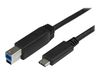 StarTech.com USB-C auf USB-B Kabel - St/St - 2m - USB 3.0 - USB B Kabel - USB C zu USB B Kabel - USB Typ C zu Typ B Kabel - USB-Kabel - 2 m_thumb_1