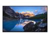 Dell LED-Display UltraSharp U2424H - 61 cm (24") - 1920 x 1080 Full HD_thumb_1