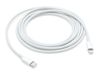 Apple cable - Lightning/USB - 2 m_thumb_1