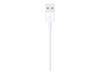 Apple Lightning cable - Lightning / USB - 1 m_thumb_1