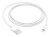 Apple Lightning-Kabel - Lightning / USB - 1 m_thumb_3