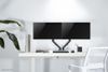 Neomounts FPMA-D650DBLACK Monitorarm 17-27" - Schraubenfeder_thumb_18
