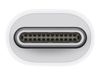 Apple Thunderbolt adapter - Thunderbolt 3 / Thunderbolt 2_thumb_3