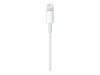 Apple Lightning-Kabel - Lightning / USB - 1 m_thumb_2