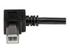 StarTech.com 2m USB 2.0 A to Right Angle B Cable Cord - 2 m USB Printer Cable - Right Angle USB B Cable - 1x USB A (M), 1x USB B (M) (USBAB2MR) - USB cable - 2 m_thumb_5