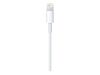 Apple Lightning-Kabel - Lightning/USB - 50 cm_thumb_4