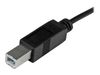 StarTech.com USB C to USB B Printer Cable - 3 ft / 1m - USB C Printer Cable - USB C to USB B Cable - USB Type C to Type B (USB2CB1M) - USB-C cable - 1 m_thumb_2