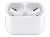 Apple In-Ear AirPods Pro (1. Generation)_thumb_3