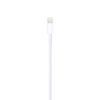 Kabel: Apple Lightning - Lightning / USB Typ A - 1m - weiß_thumb_3